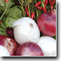 Banner Image 2