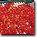 Banner Image 4