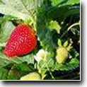 Banner Image 1