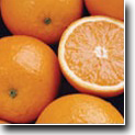 Banner Image 2