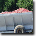 Banner Image 4