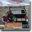 Banner Image 1